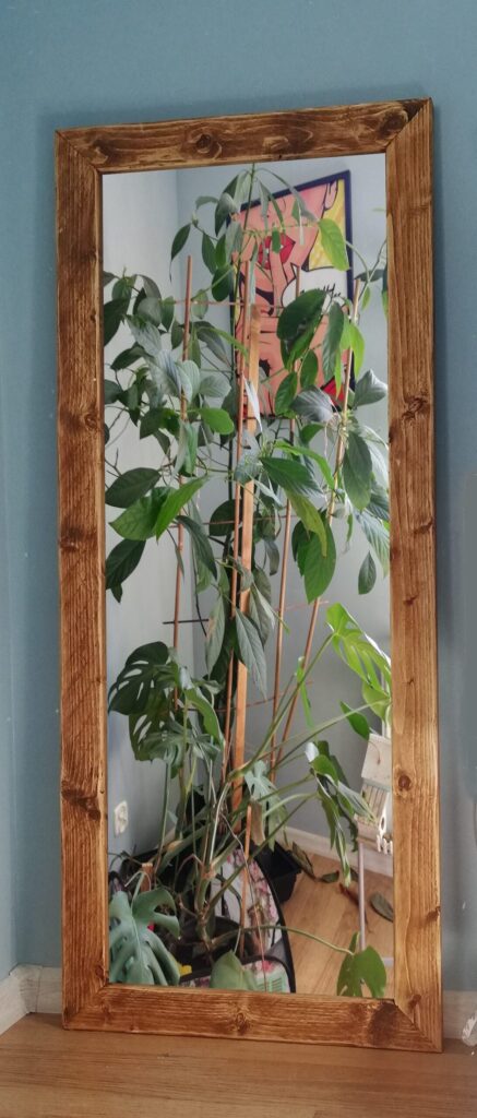 Lustro w dużej ramie - brąz